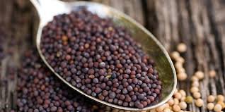 Mustard seeds
