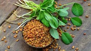 Fenugreek seeds