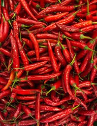 Red chili