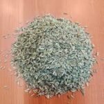 Fennel seeds