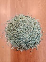 Fennel seeds