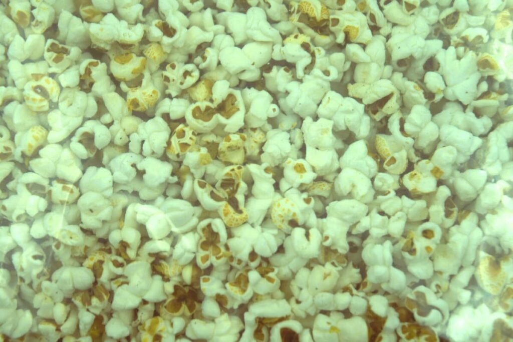 Dhaani Popcorn