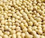 Raw Soybeans